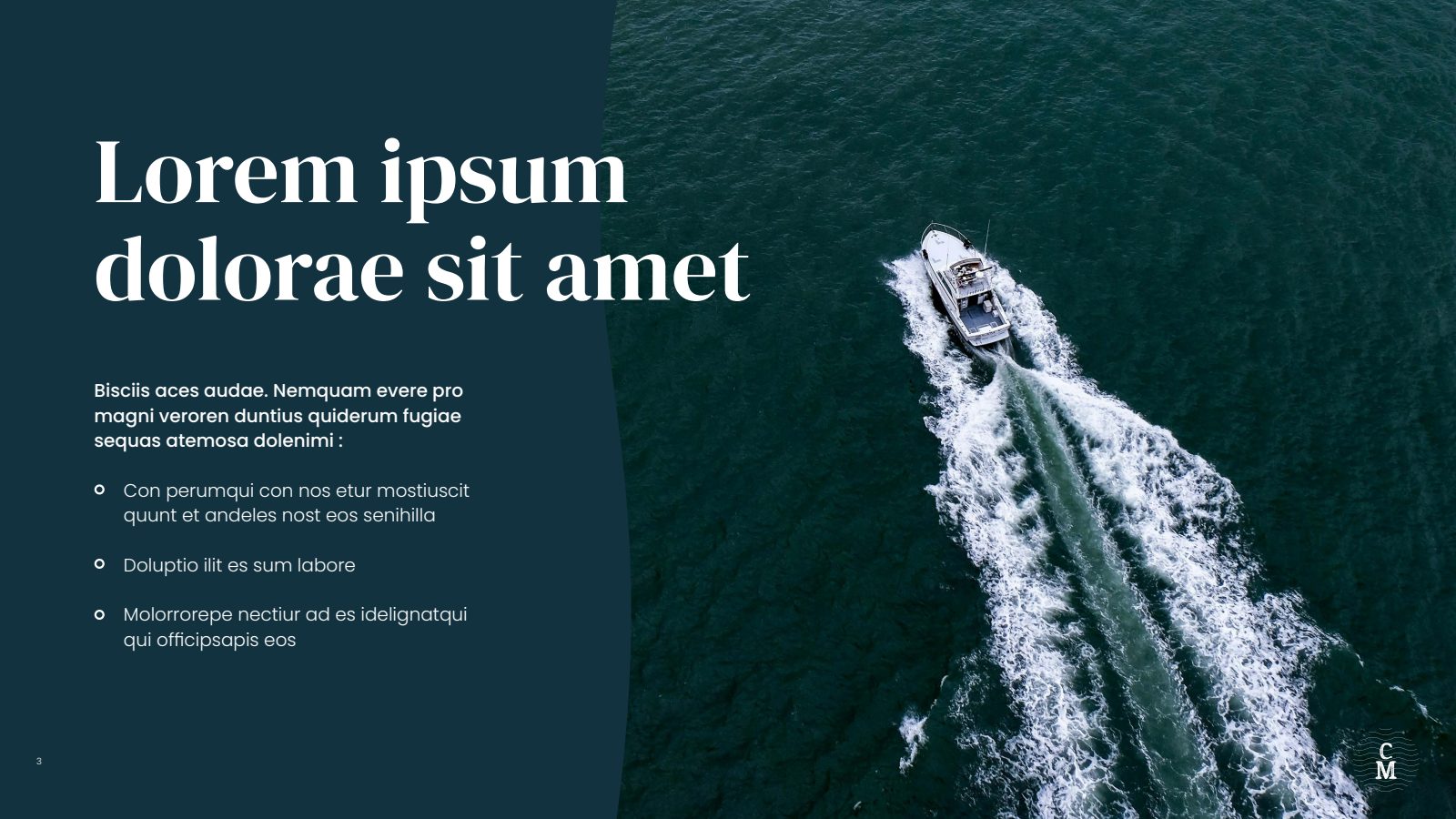Slide 3
