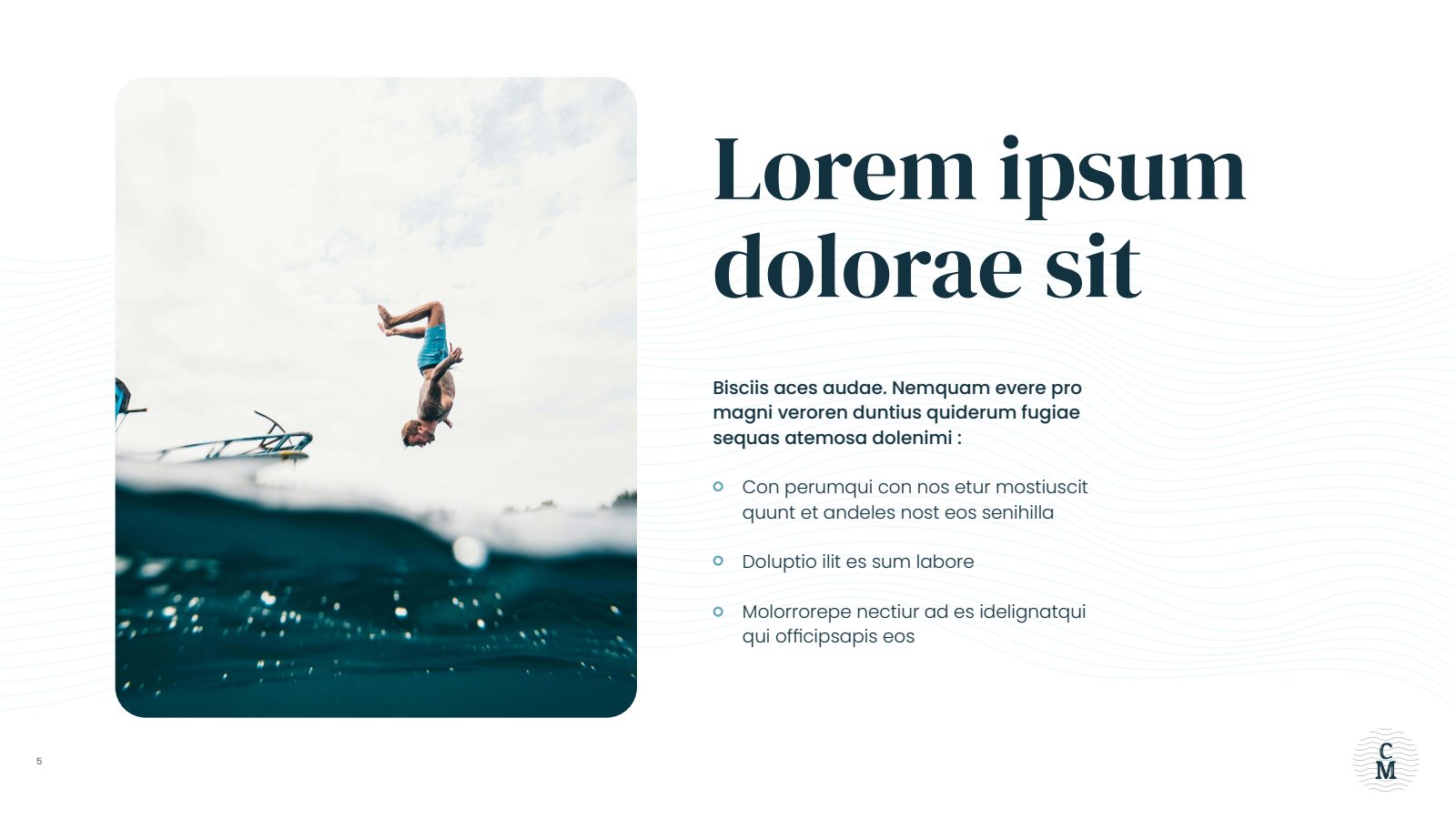 Slide 5