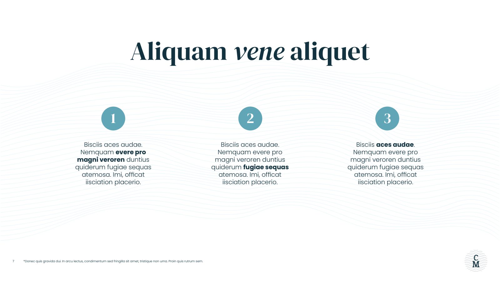 Slide 7