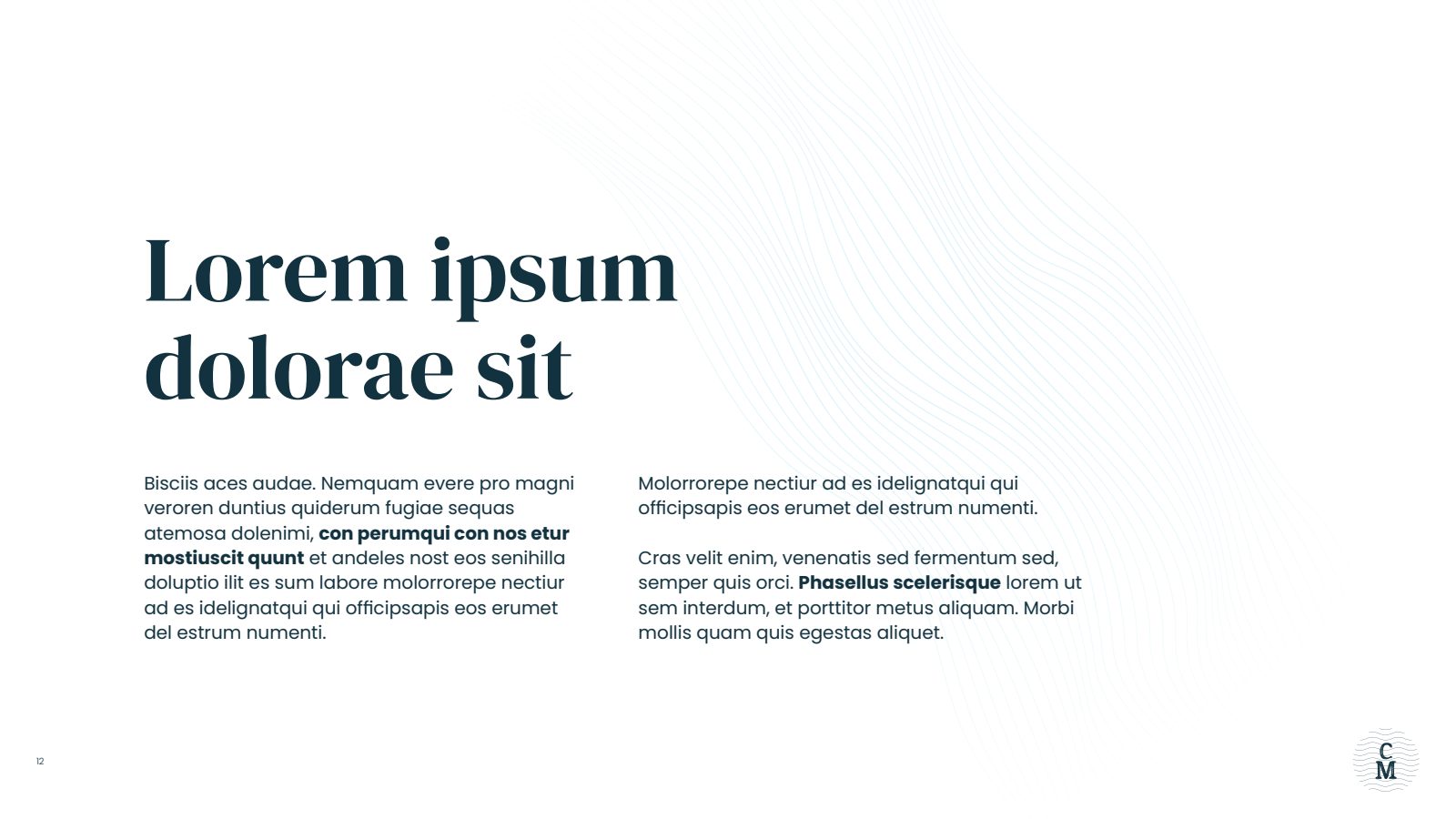 Slide 12